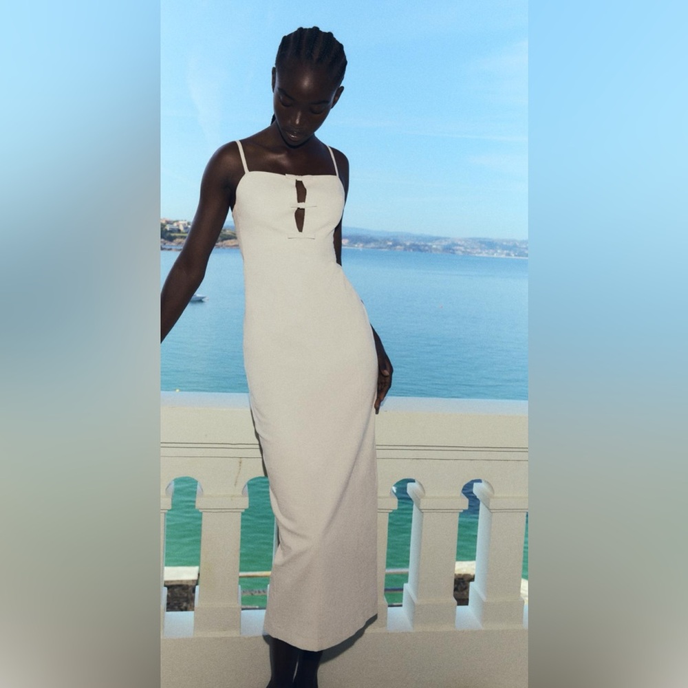 Zara Dress